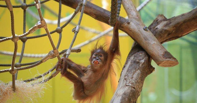 Pexels/Bruno Peinemann